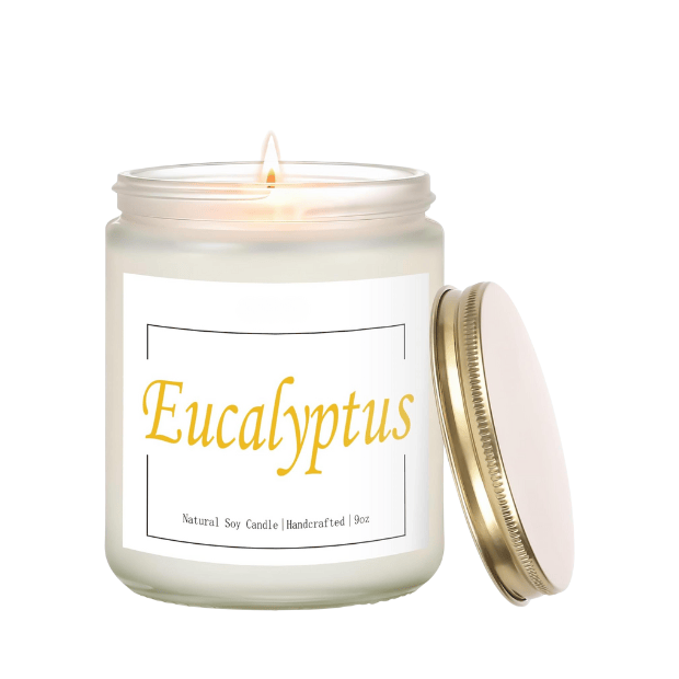 Premium Eucalyptus & Mint Soy Candle in Frosted White Glass