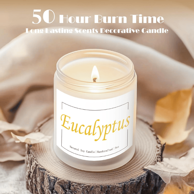 Premium Eucalyptus & Mint Soy Candle in Frosted White Glass