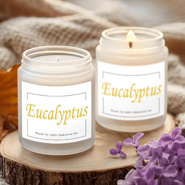 Premium Eucalyptus & Mint Soy Candle in Frosted White Glass