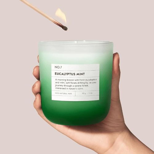 11oz Eucalyptus & Mint Scented Candle
