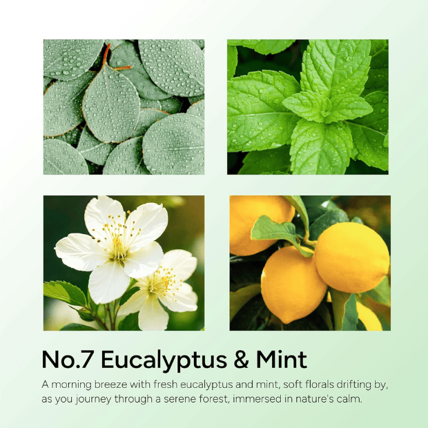 11oz Eucalyptus & Mint Scented Candle