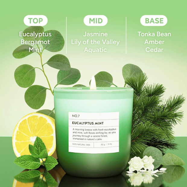 11oz Eucalyptus & Mint Scented Candle