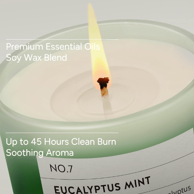 11oz Eucalyptus & Mint Scented Candle