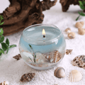 Ocean Marine Life Transparent Gel Wax Candle - Glass Vessel with Embedded Seashells & Starfish